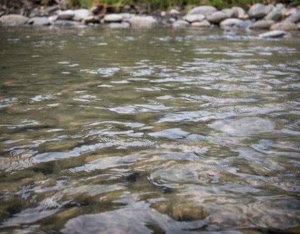 L'eau, la vie...